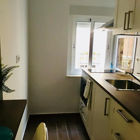 Apartment Flores Malaga