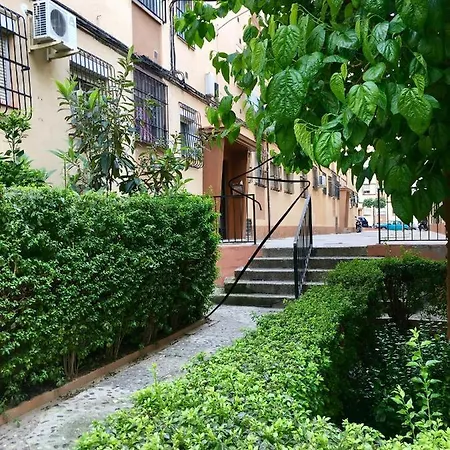 Apartment Flores Malaga